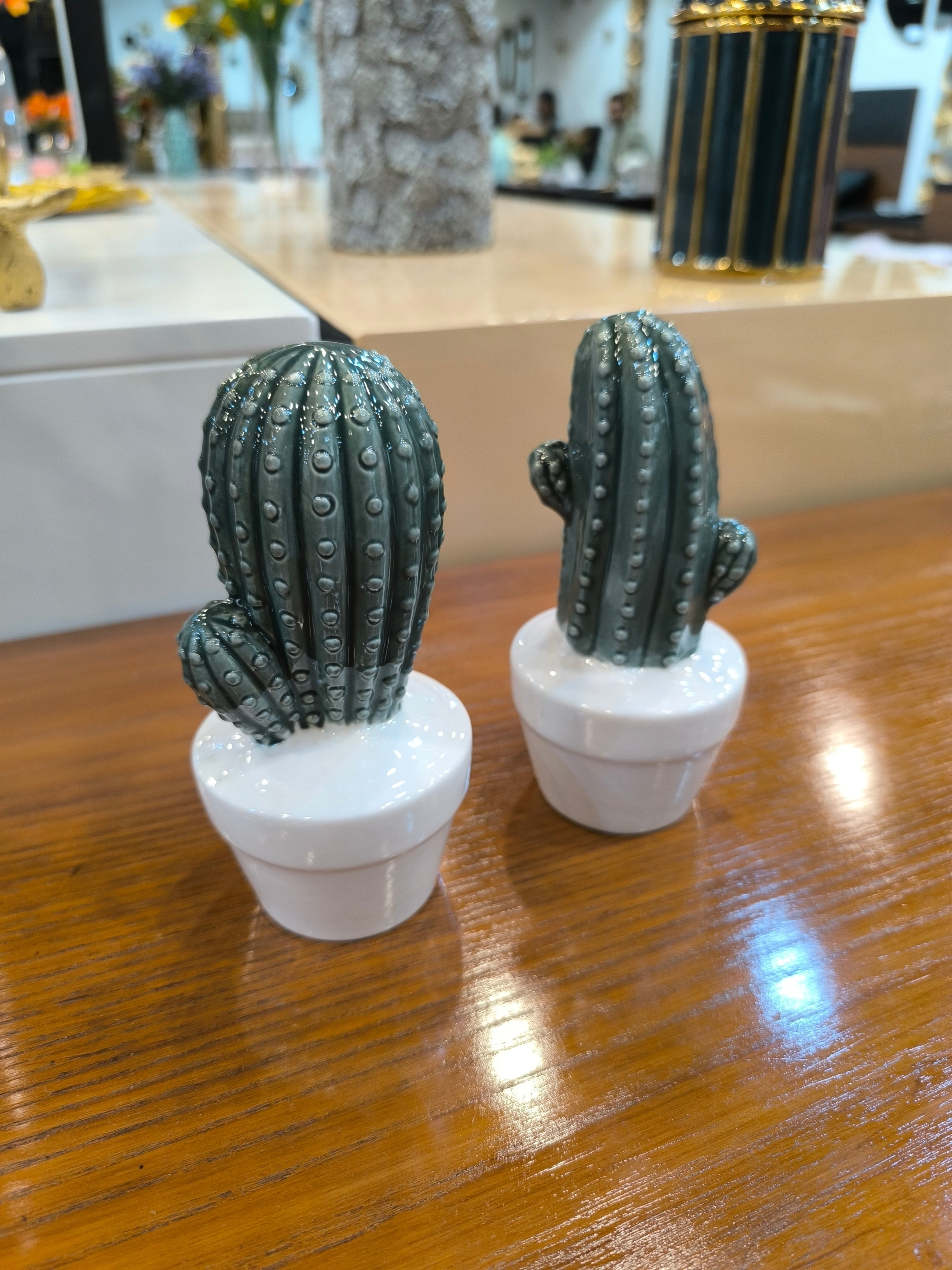 Ceramic cactuse set