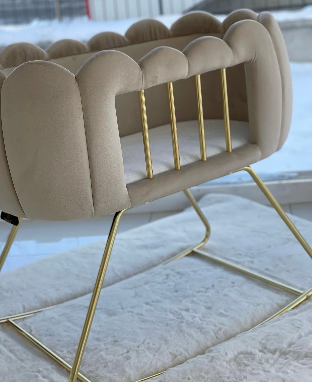 Bassinet b2