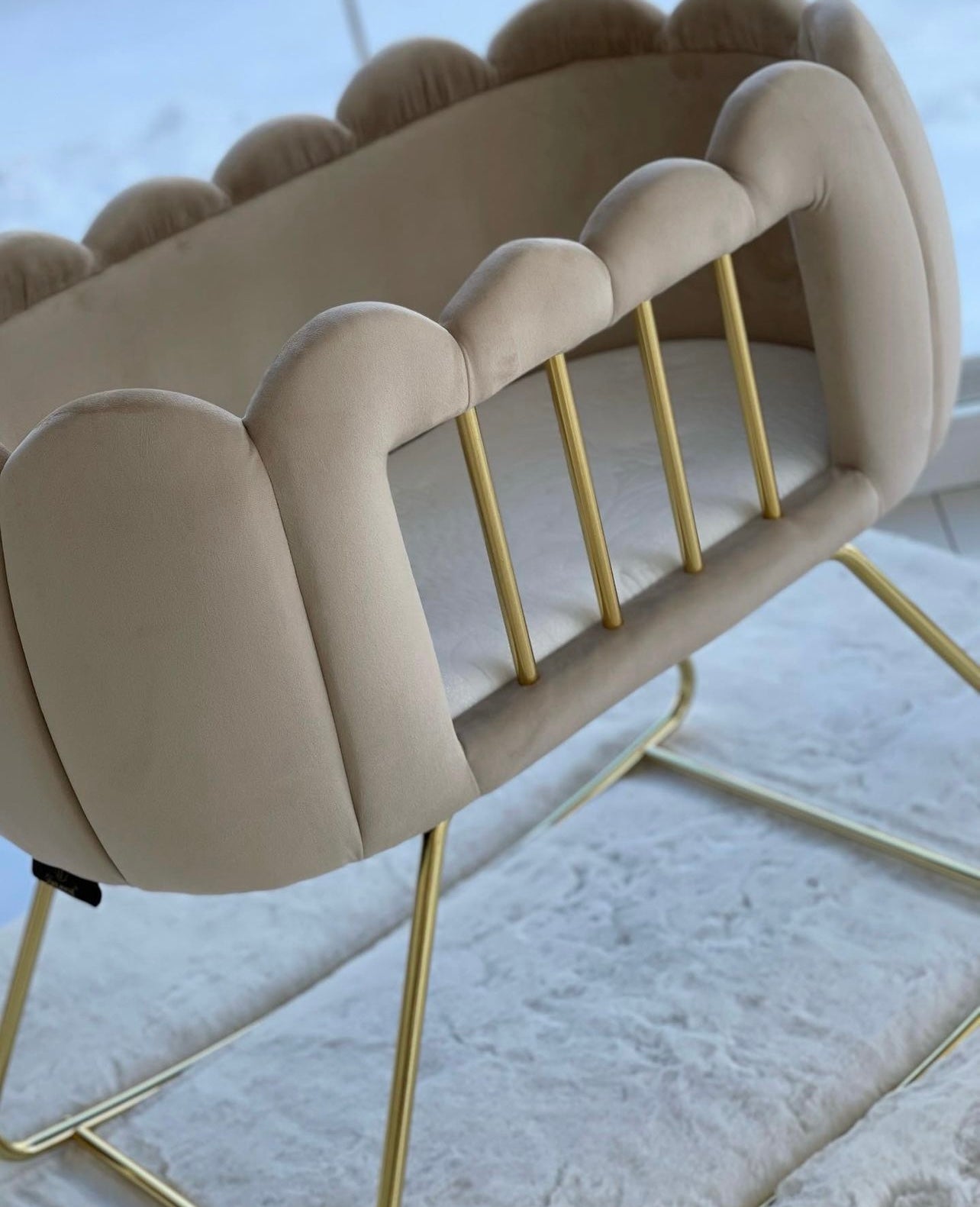 Bassinet b2